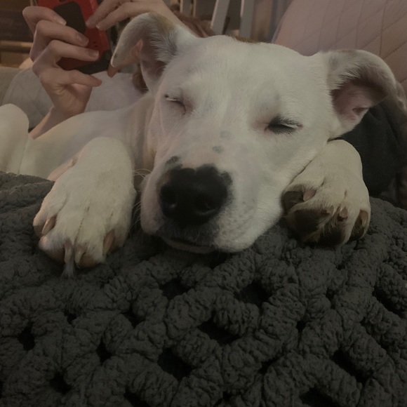 Meet your Posher, Jeff - Picture 1 of 1